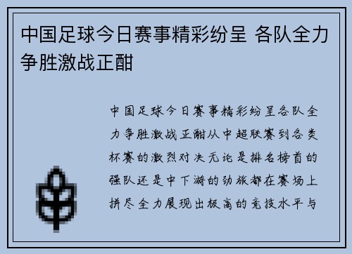 中国足球今日赛事精彩纷呈 各队全力争胜激战正酣