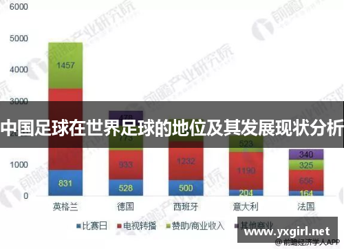 中国足球在世界足球的地位及其发展现状分析